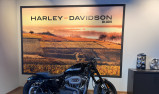 HARLEY-DAVIDSON SPORTSTER 1200 CX