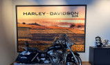 HARLEY-DAVIDSON DYNA SWITCHBACK 1690