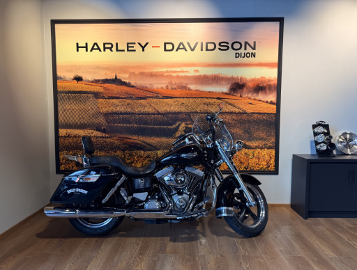 HARLEY-DAVIDSON DYNA SWITCHBACK 1690