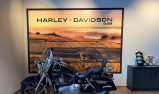 HARLEY-DAVIDSON DYNA SWITCHBACK 1690
