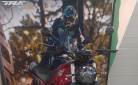 BENELLI LEONCINO 500