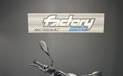 BMW F 900 R