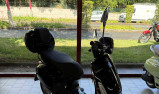VESPA Primavera Elettrica 45