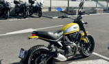 DUCATI SCRAMBLER 800 ICON