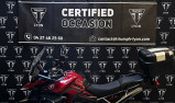 TRIUMPH Tiger 900 GT PRO