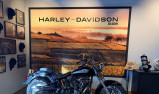 HARLEY-DAVIDSON SOFTAIL FAT BOY 1584