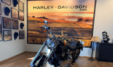 HARLEY-DAVIDSON SOFTAIL FAT BOY 1584