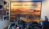 HARLEY-DAVIDSON SOFTAIL FAT BOY 1584