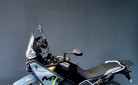 CF MOTO 450 MT  DISPO MAG / 130.90€/MOIS* / DSN MOTOS 40