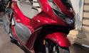 Honda - 125 PCX - Garantie 12 mois