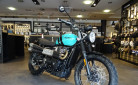 TRIUMPH SCRAMBLER 900