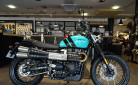 TRIUMPH SCRAMBLER 900
