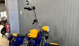 HARLEY-DAVIDSON SPORTSTER 883