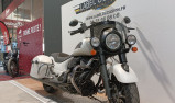 INDIAN SPRINGFIELD DARK HORSE