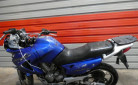 HONDA 600 TRANSALP