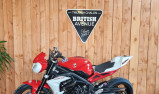 TRIUMPH STREET TRIPLE 675 R (RSV)