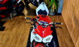 TRIUMPH STREET TRIPLE 675 R (RSV)