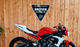 TRIUMPH STREET TRIPLE 675 R (RSV)