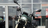 Benelli Leoncino 800
