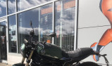 Benelli Leoncino 800