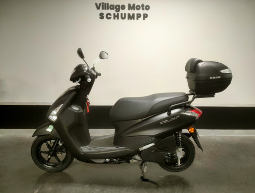 Yamaha D