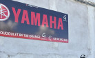 YAMAHA PW50 *2025*