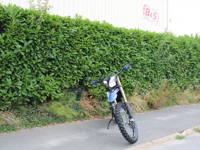 ELECTRIC MOTION Escape XR Limited Homologué 4