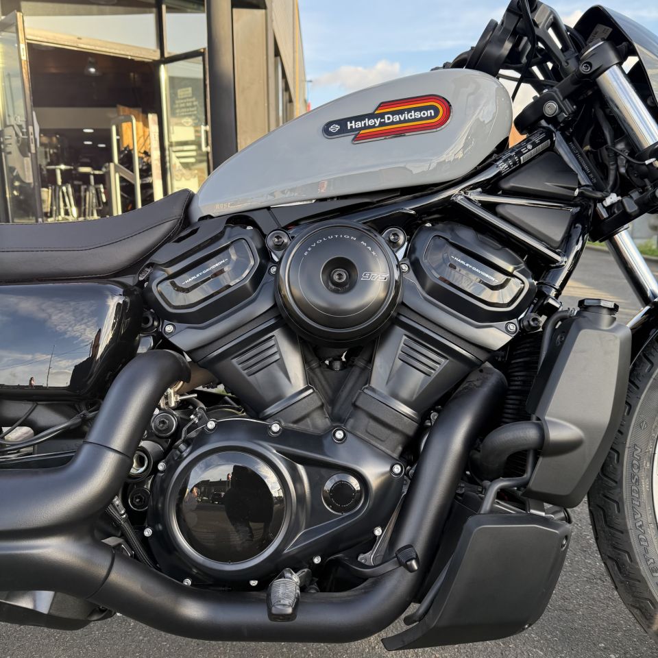 HARLEY-DAVIDSON SPORTSTER NIGHTSTER 975 SPECIAL 4