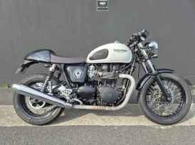 TRIUMPH THRUXTON 900 ACE - 2025