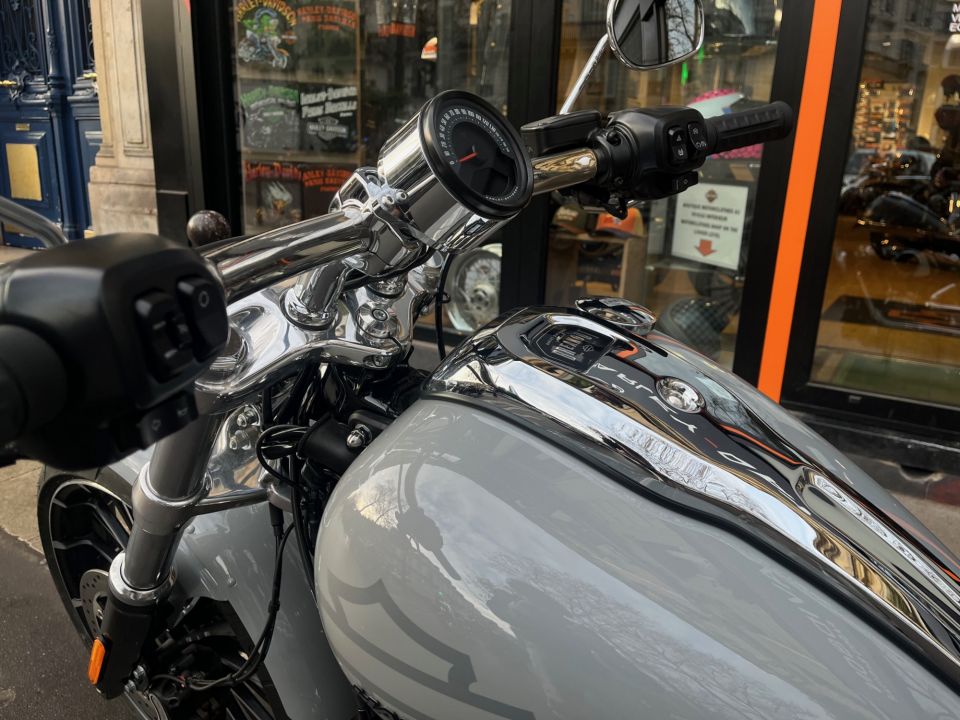 HARLEY-DAVIDSON SOFTAIL BREAKOUT 1923 4