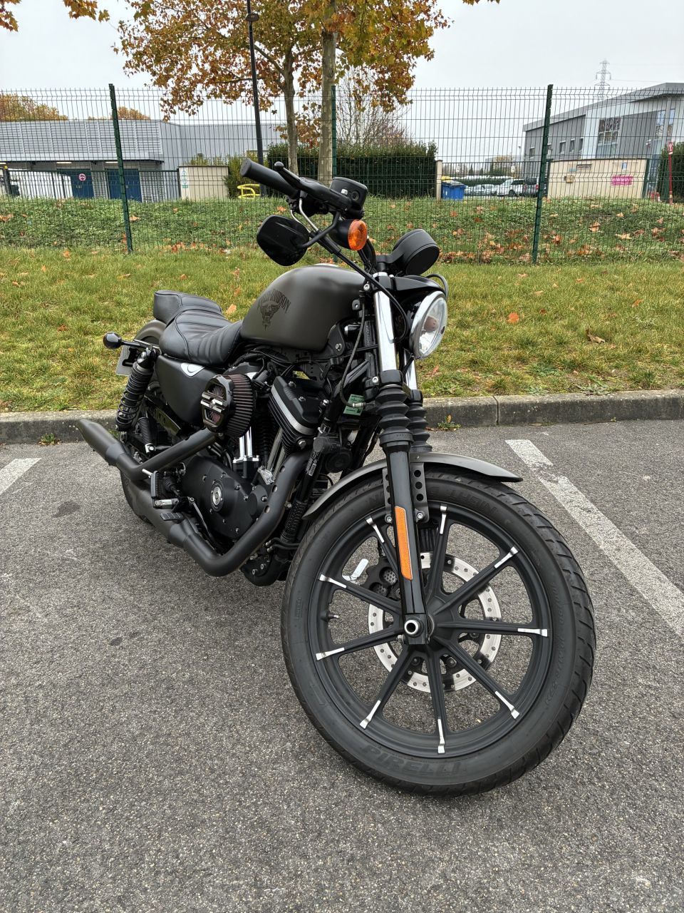 HARLEY-DAVIDSON SPORTSTER IRON 883 4