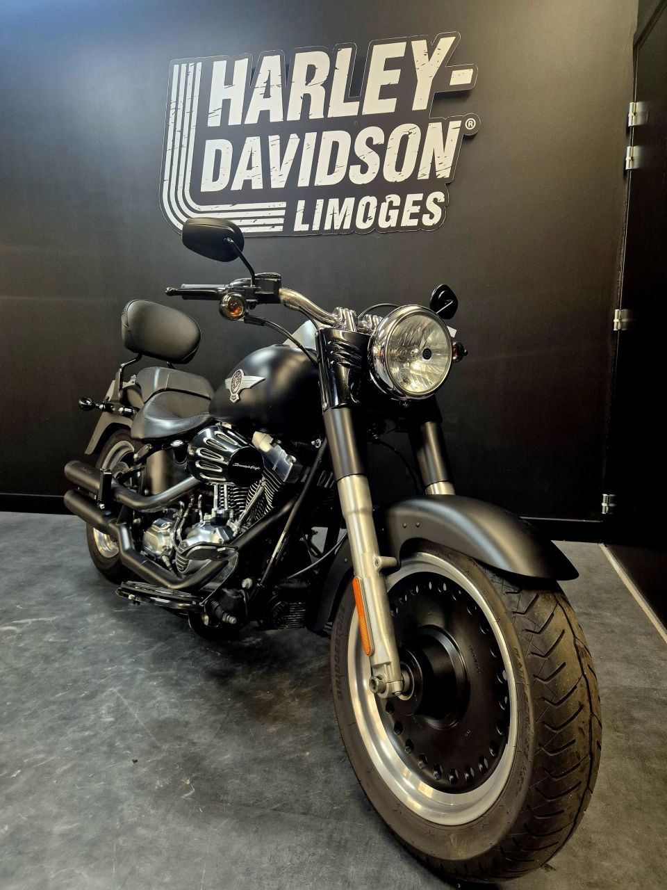 HARLEY-DAVIDSON SOFTAIL FAT BOY 1584 SPECIAL 4