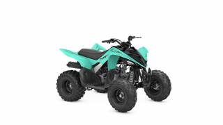 YAMAHA YFM 110 RAPTOR - 2025