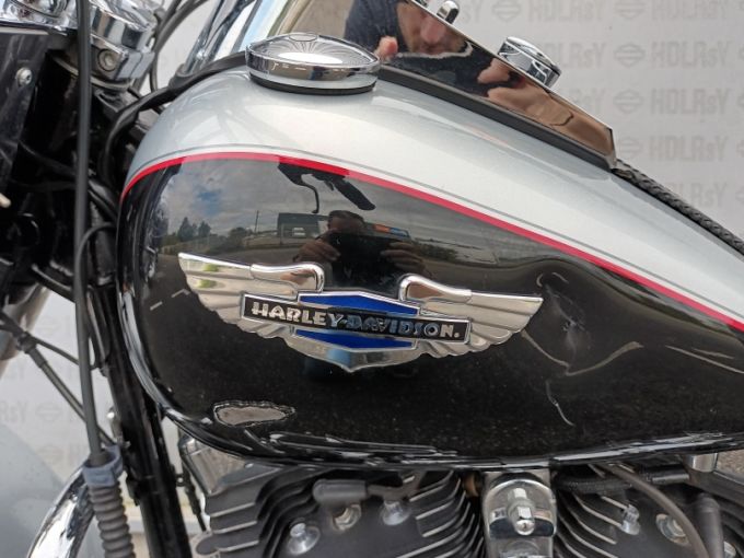 HARLEY-DAVIDSON SOFTAIL DELUXE 1690 4