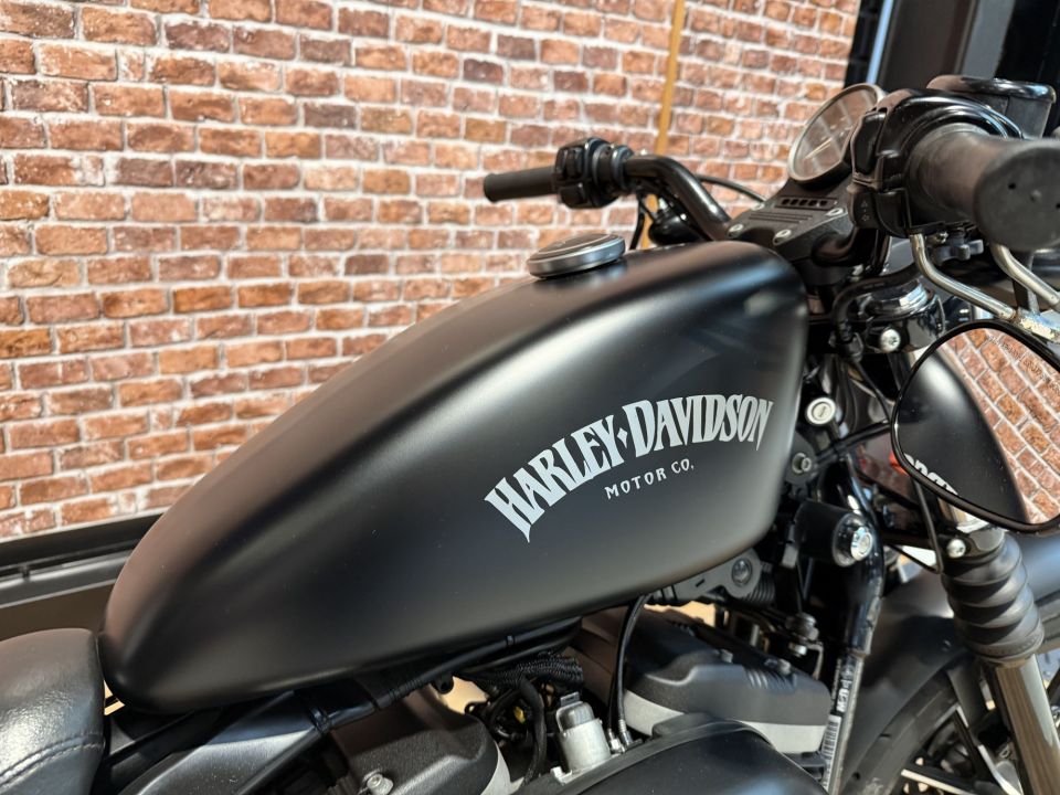 HARLEY-DAVIDSON SPORTSTER IRON 883 4