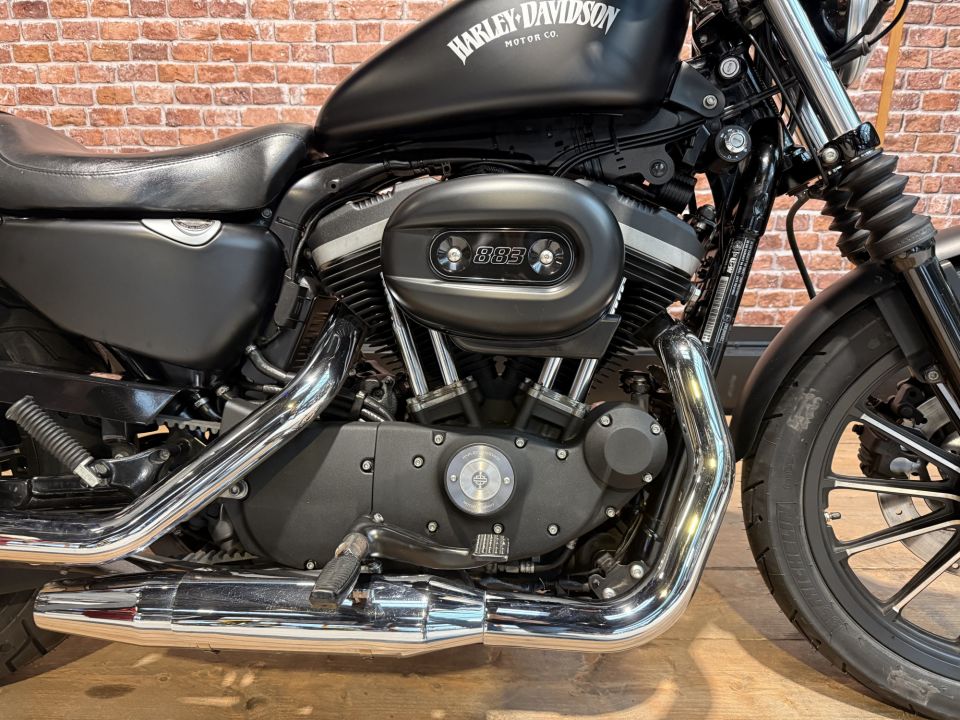 HARLEY-DAVIDSON SPORTSTER IRON 883 4