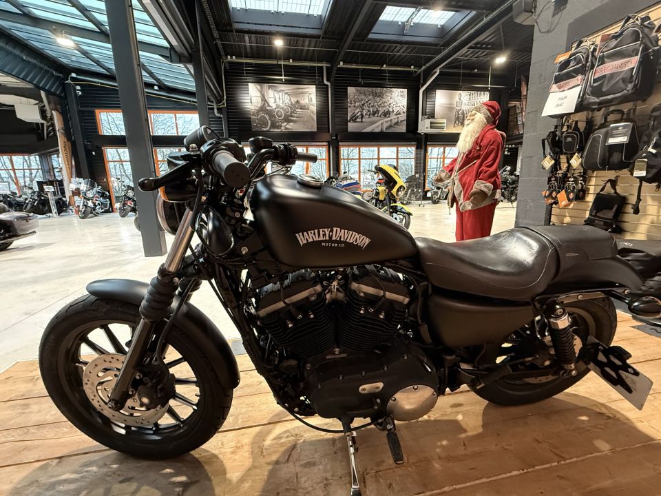 HARLEY-DAVIDSON SPORTSTER IRON 883 4