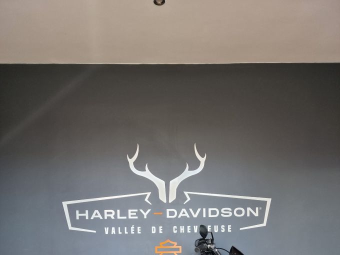 HARLEY-DAVIDSON SOFTAIL LOW RIDER 1745 4