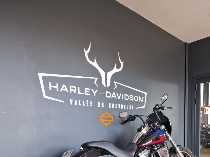 HARLEY-DAVIDSON SOFTAIL LOW RIDER 1745 4