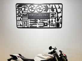 TRIUMPH STREET TRIPLE 660 S A2 - 2020