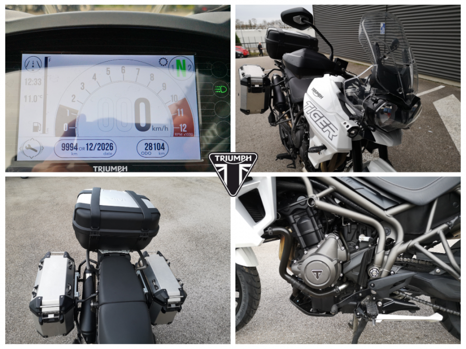 TRIUMPH TIGER 800 XRX 4