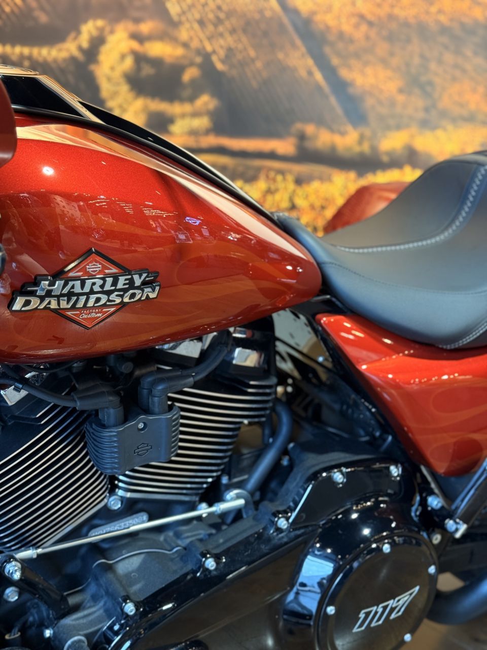 HARLEY-DAVIDSON TOURING ROAD GLIDE 1923 4