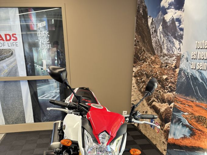 YAMAHA FZ8 4