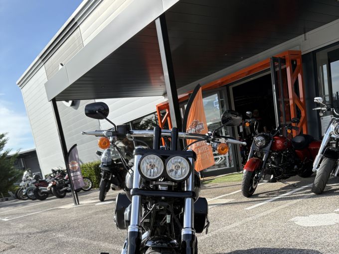 HARLEY-DAVIDSON DYNA FAT BOB 1690 4