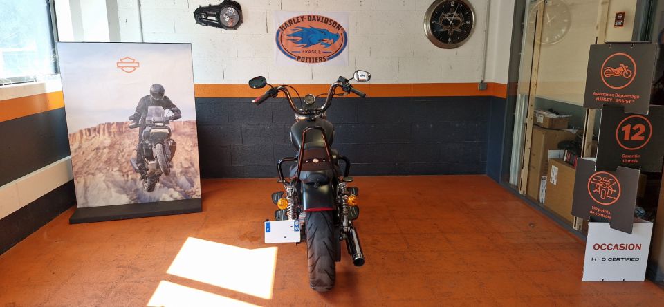 HARLEY-DAVIDSON SPORTSTER CUSTOM 1200 LIMITED 4