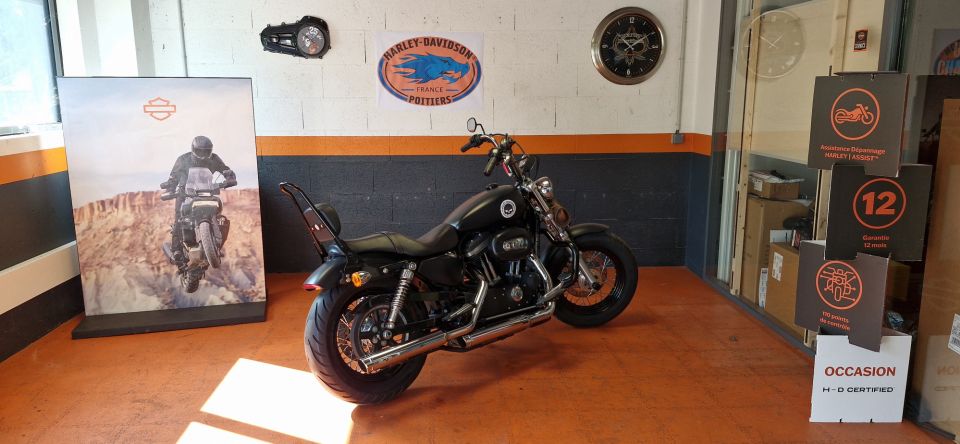 HARLEY-DAVIDSON SPORTSTER CUSTOM 1200 LIMITED 4