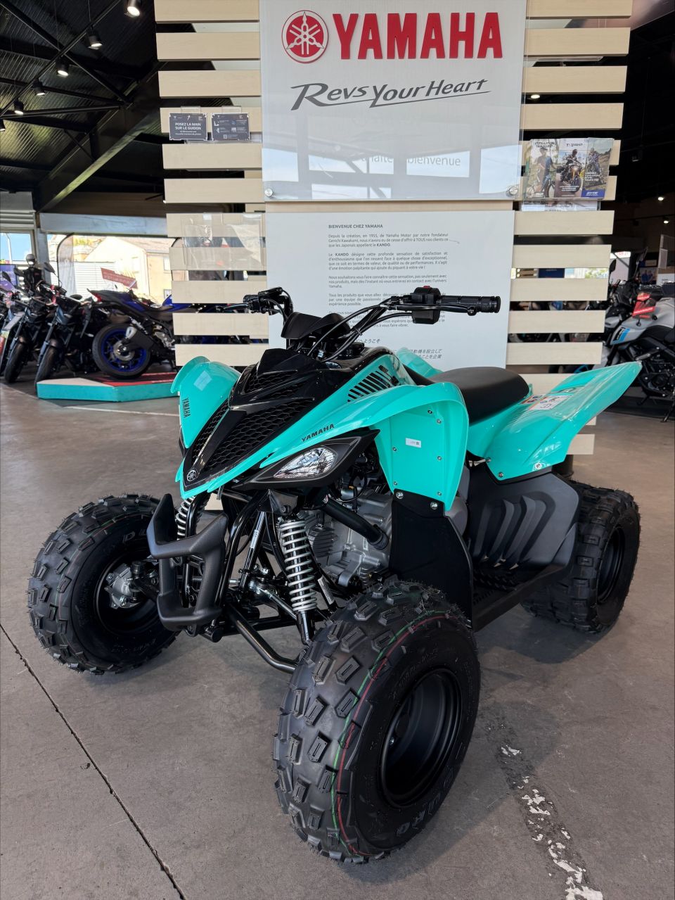 YAMAHA YFM 90 RAPTOR 4