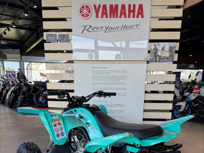 YAMAHA YFM 90 RAPTOR 4