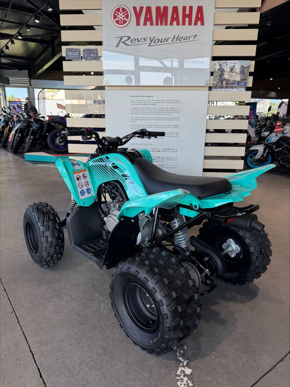 YAMAHA YFM 90 RAPTOR 4