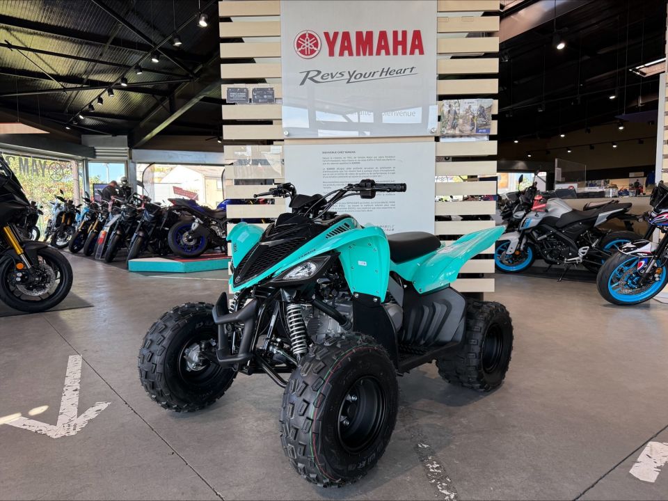 YAMAHA YFM 90 RAPTOR 4